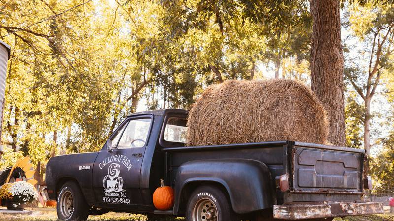 See what the Cape Fear Weekend Planner has in store for this weekend