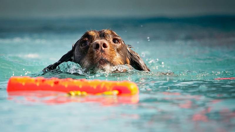 What’s happening this weekend? Check out the Cape Fear Weekend Planner
