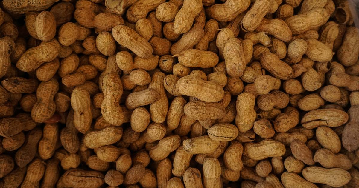 “See you Saturday for a nutty time” Dublin Peanut Festival set for